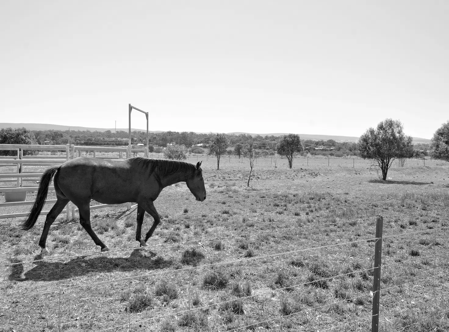 Main view of Homely land listing, 11 Qualitary Rd, Leeton NSW 2705