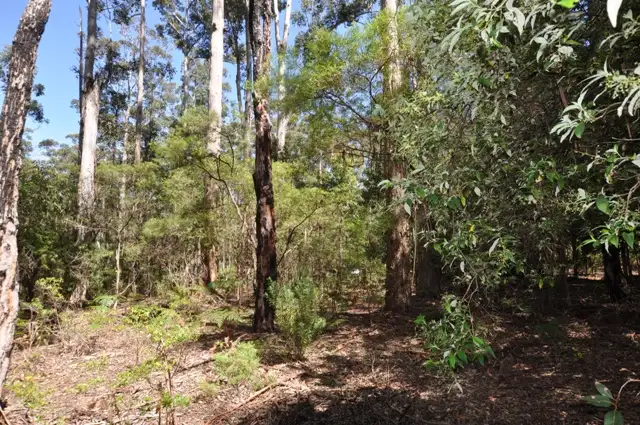 Sixth view of Homely land listing, Lot 109 KARRI LANE, Quinninup WA 6258