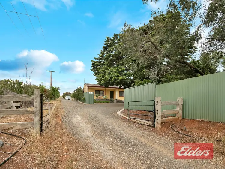 Fourth view of Homely house listing, 341 Barossa Valley Way, Concordia SA 5118