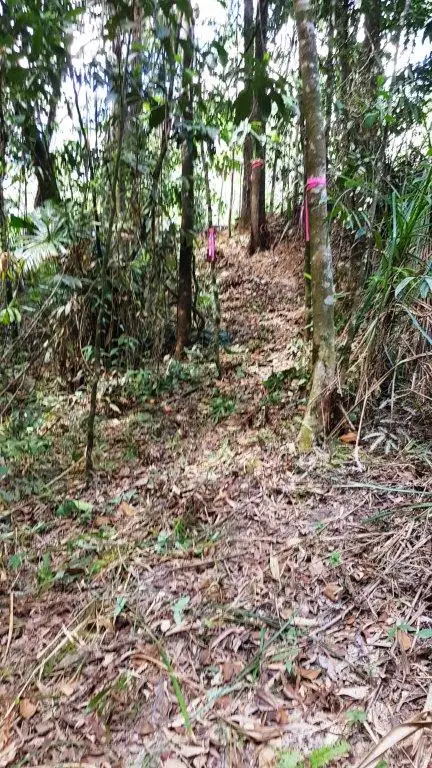 Sixth view of Homely land listing, Lot 1 Thornton Peak Drive, Daintree QLD 4873