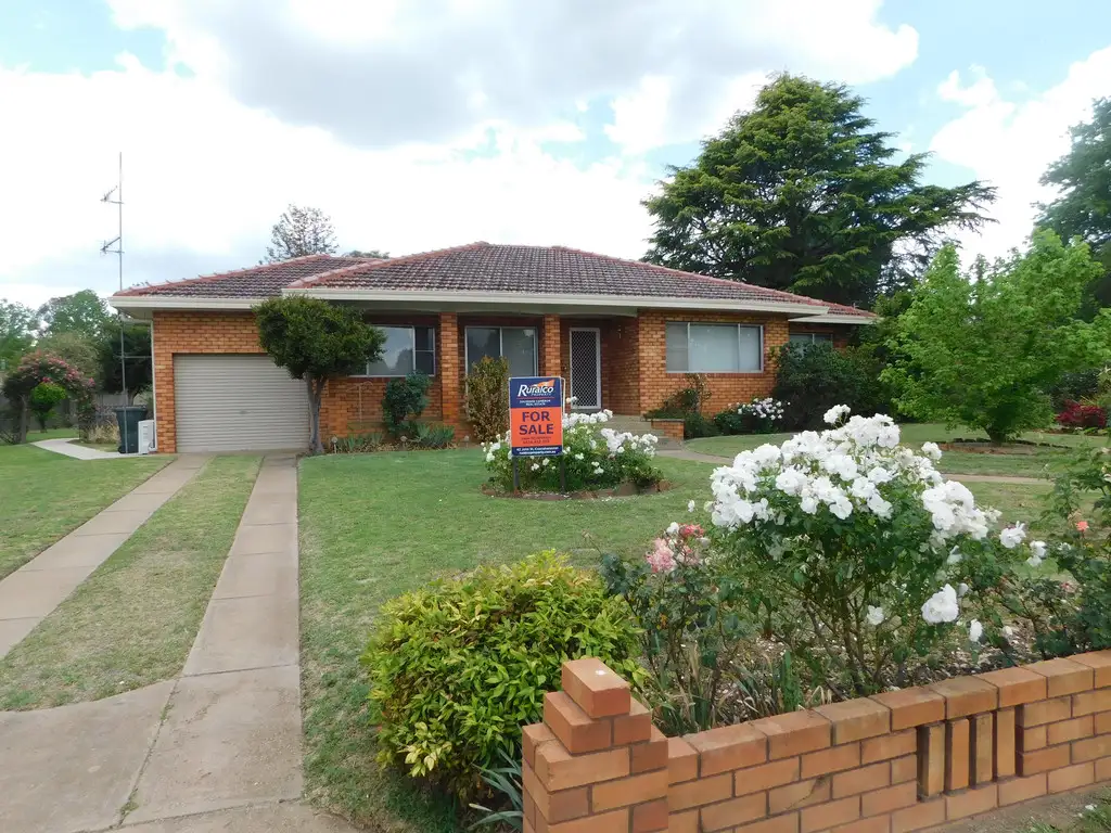 Main view of Homely house listing, 15 Nandi Street, Coonabarabran NSW 2357