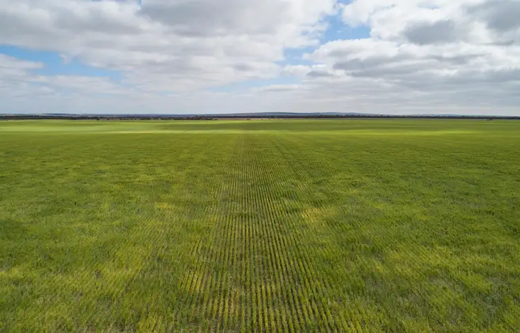 Fourth view of Homely rural property listing, A339 Kangaroo Road, Langhorne Creek SA 5255