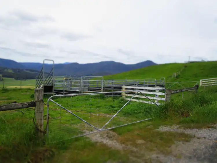 Fifth view of Homely rural property listing, - Cnr Lowana & South Riana Roads, Gunns Plains TAS 7315
