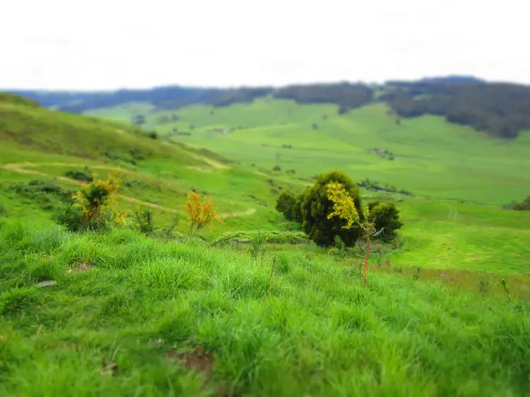Sixth view of Homely rural property listing, - Cnr Lowana & South Riana Roads, Gunns Plains TAS 7315