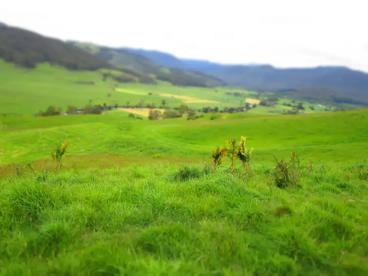 Seventh view of Homely rural property listing, - Cnr Lowana & South Riana Roads, Gunns Plains TAS 7315
