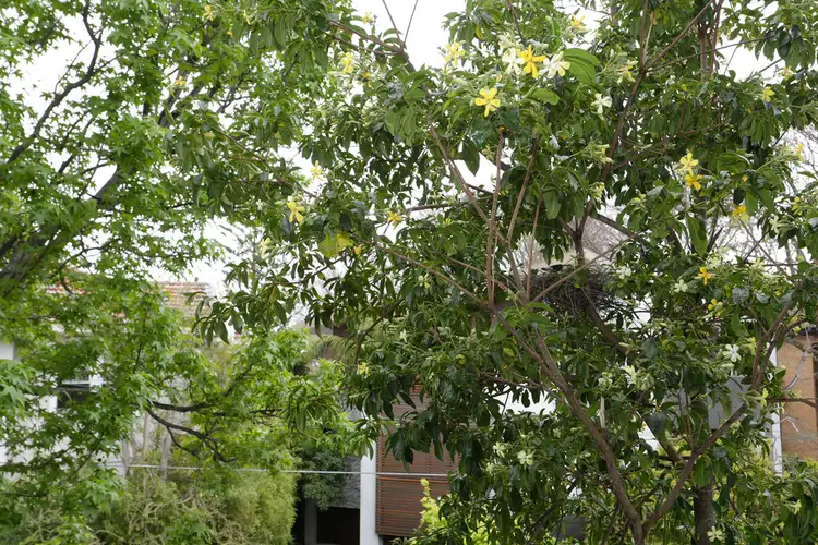Seventh view of Homely apartment listing, 7/22-24 EILDON ROAD, St Kilda VIC 3182
