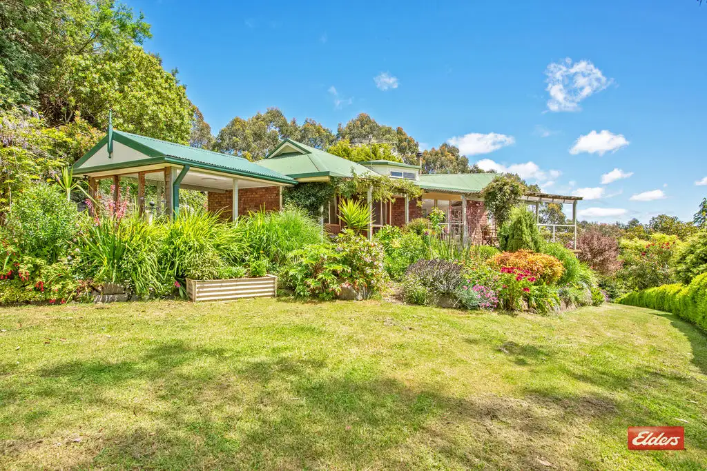 Main view of Homely house listing, 61 Old Mount Hicks Road, Mount Hicks TAS 7325