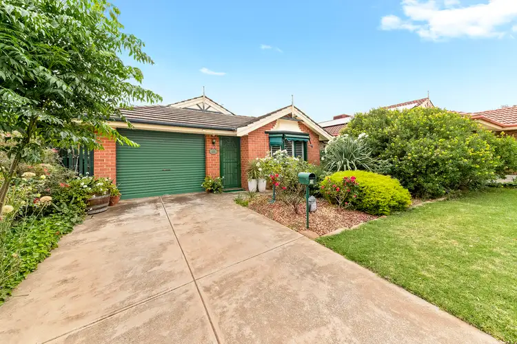 13 Cinnamon Grove