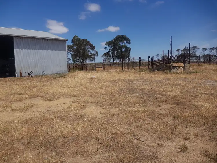Fifth view of Homely rural property listing, 2175 Devils Creek Road, Gairdner WA 6337