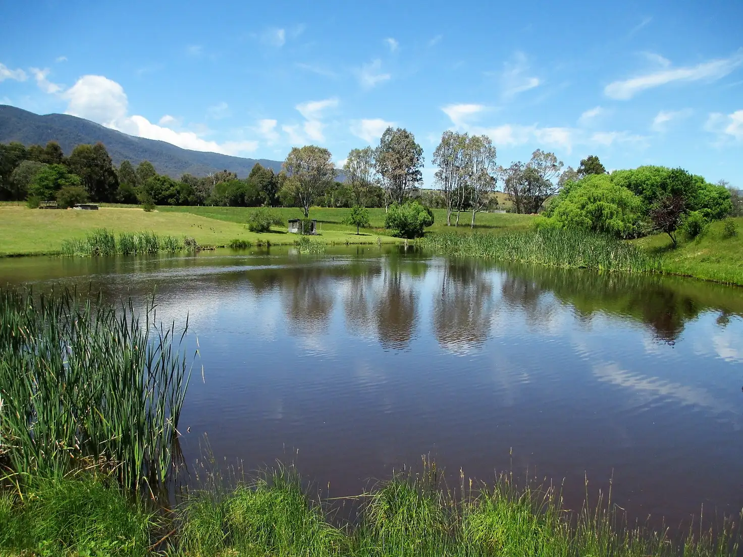 Main view of Homely rural property listing, 837 Taggerty/Thornton Rd, Thornton VIC 3712