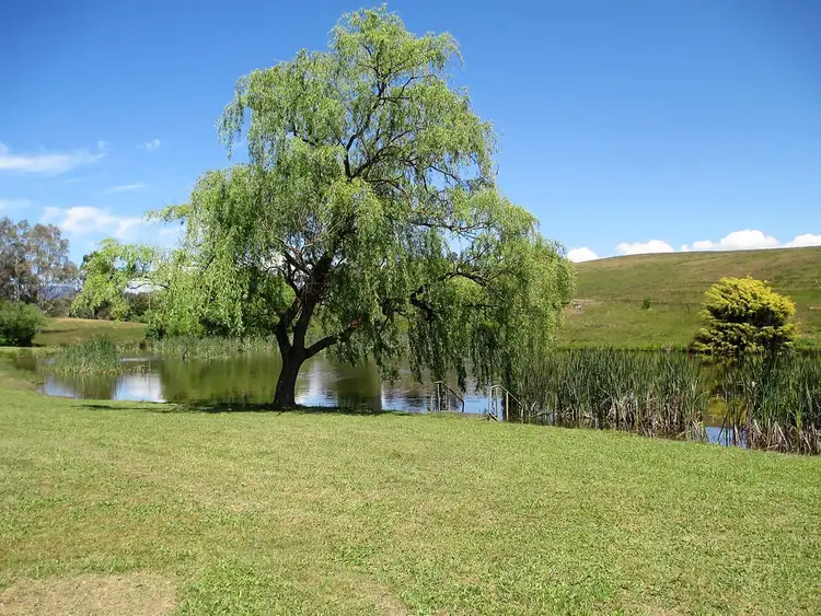 Second view of Homely rural property listing, 837 Taggerty/Thornton Rd, Thornton VIC 3712