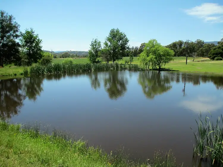 Third view of Homely rural property listing, 837 Taggerty/Thornton Rd, Thornton VIC 3712