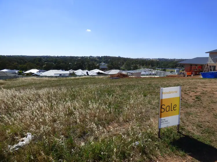 29 JORDAN PLACE, Young NSW 2594