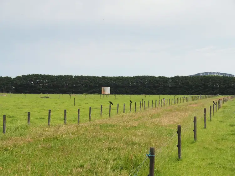 Third view of Homely rural property listing, 5501 Princes Highway, Boorcan VIC 3265