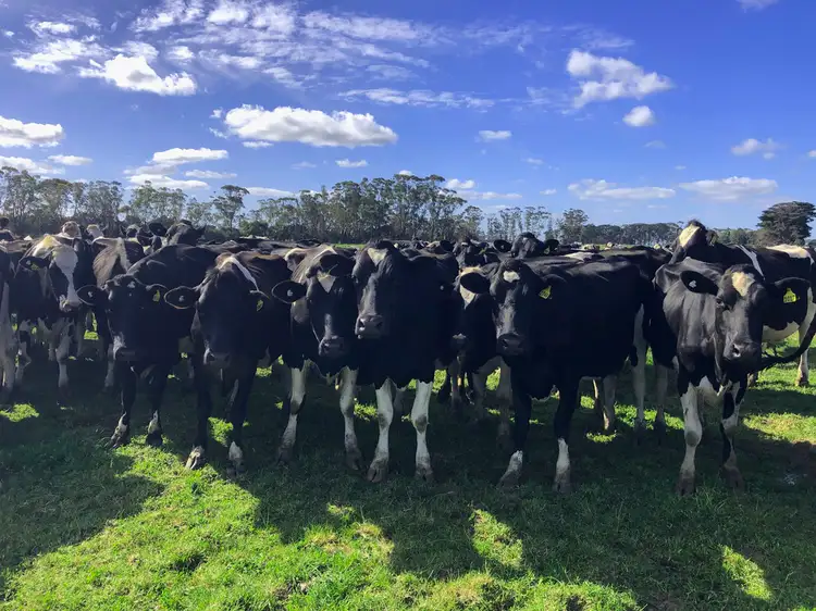 Fourth view of Homely rural property listing, 5501 Princes Highway, Boorcan VIC 3265