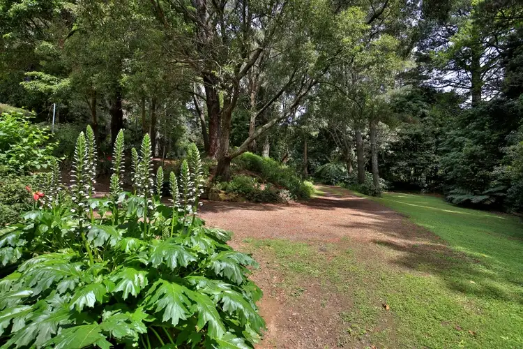 Fifth view of Homely house listing, 406 Tourist Road, Beaumont NSW 2577