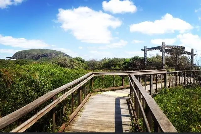 Sixth view of Homely unit listing, 3 / 5 Quinn Court, Mount Coolum QLD 4573