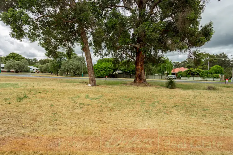 Sixth view of Homely land listing, 19 BAXTER STREET, Donnybrook WA 6239