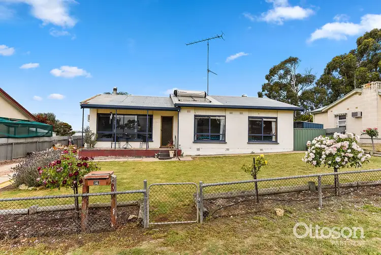 Main view of Homely house listing, 14 Illawarra Street, Naracoorte SA 5271
