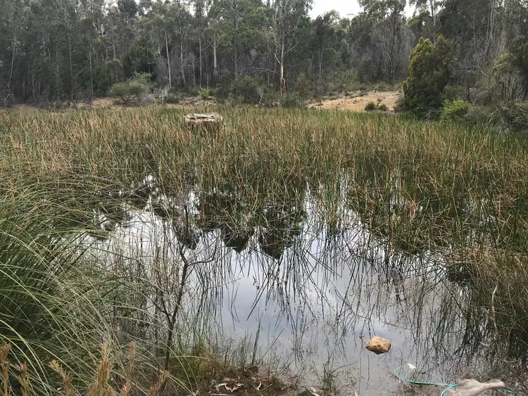 Seventh view of Homely land listing, 38 Schofields Road, Murdunna TAS 7178