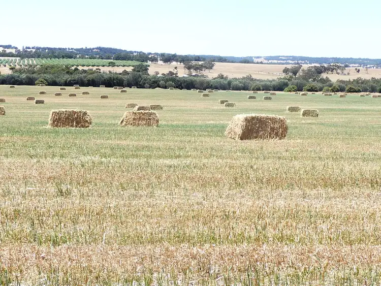 Second view of Homely rural property listing, 293 (Lot 501) McDougall Road, Talbot WA 6302