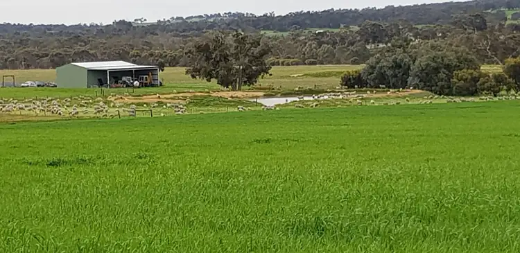 Third view of Homely rural property listing, 293 (Lot 501) McDougall Road, Talbot WA 6302