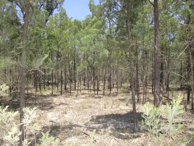 Main view of Homely rural property listing, LOT 23 OLD TARA ROAD, Tara QLD 4421