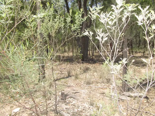 Second view of Homely rural property listing, LOT 23 OLD TARA ROAD, Tara QLD 4421