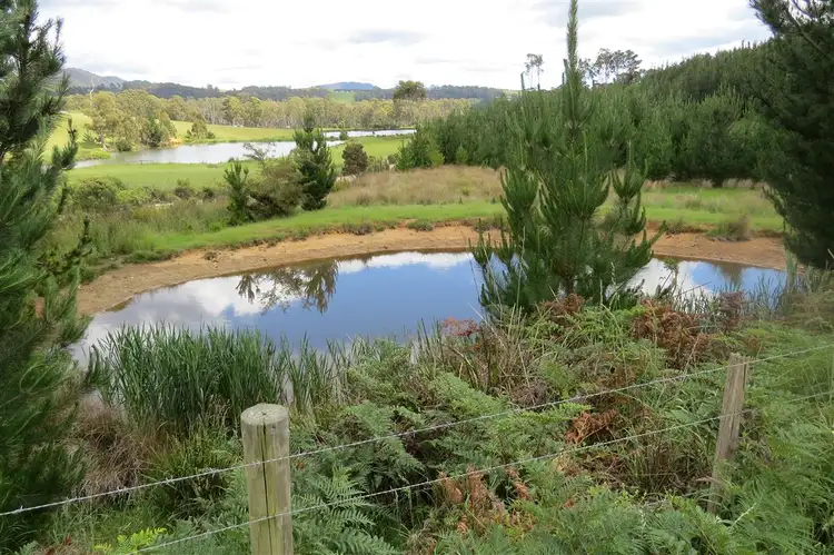 Second view of Homely rural property listing, . Dobsons Road, Railton TAS 7305