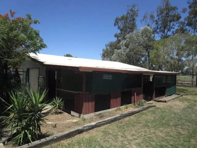 Seventh view of Homely house listing, 46 BINNIE STREET, Tara QLD 4421