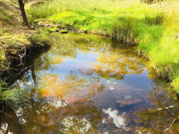 Seventh view of Homely rural property listing, 75 Marulan Creek Road, Marulan NSW 2579