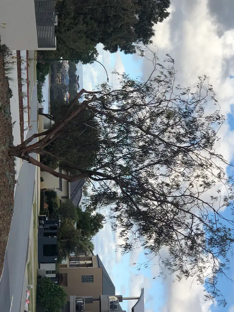 Sixth view of Homely land listing, 101B Reynolds Road, Mount Pleasant WA 6153