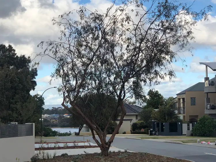 Seventh view of Homely land listing, 101B Reynolds Road, Mount Pleasant WA 6153