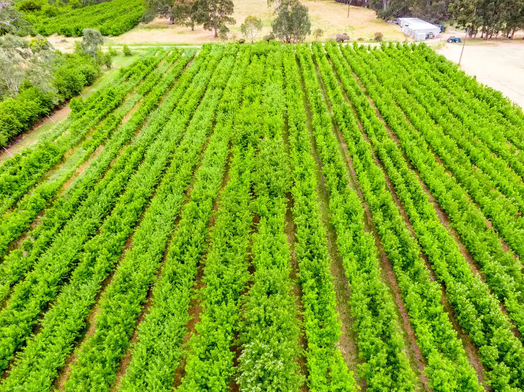 Main view of Homely rural property listing, 1656 Bull Creek Rd, Ashbourne SA 5157