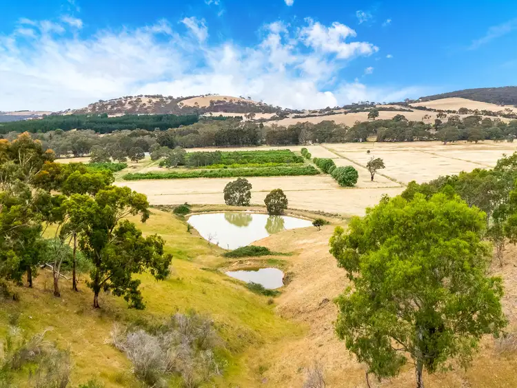 Second view of Homely rural property listing, 1656 Bull Creek Rd, Ashbourne SA 5157