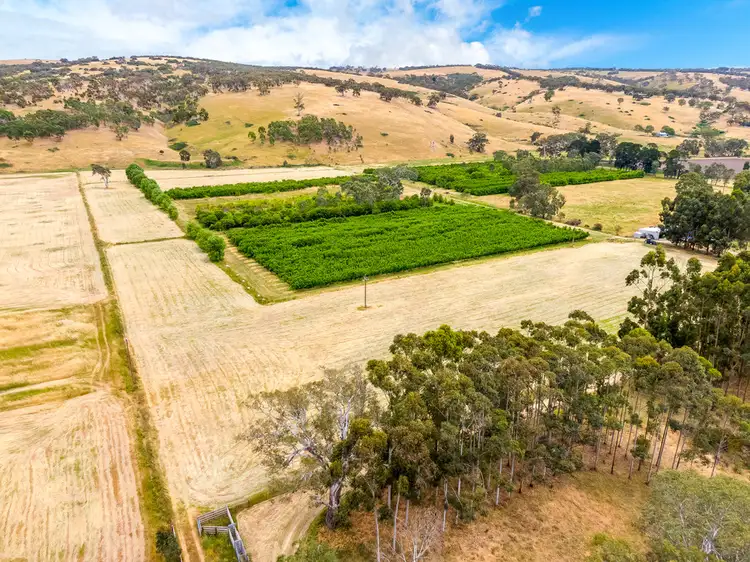 Third view of Homely rural property listing, 1656 Bull Creek Rd, Ashbourne SA 5157