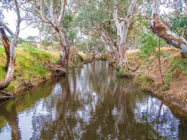 Sixth view of Homely rural property listing, 1656 Bull Creek Rd, Ashbourne SA 5157