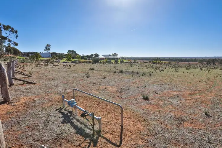 Second view of Homely land listing, Lot 4, 213 Nerrum Avenue, Red Cliffs VIC 3496