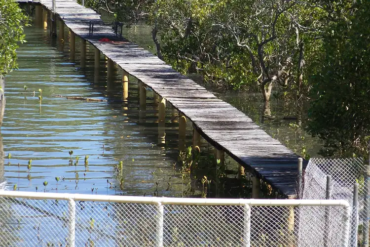 Sixth view of Homely house listing, 45 -49 PIER HAVEN, Lamb Island QLD 4184