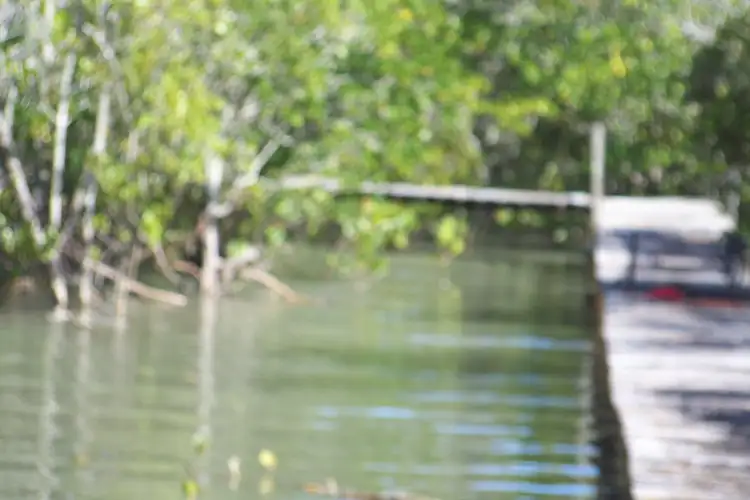 Seventh view of Homely house listing, 45 -49 PIER HAVEN, Lamb Island QLD 4184