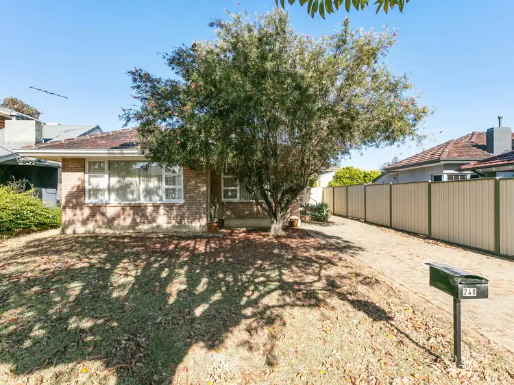 240 Hancock Street, Doubleview WA 6018