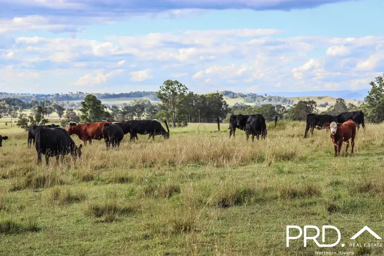 Sixth view of Homely rural property listing, 95&96 Ainsworth Road, Leeville NSW 2470