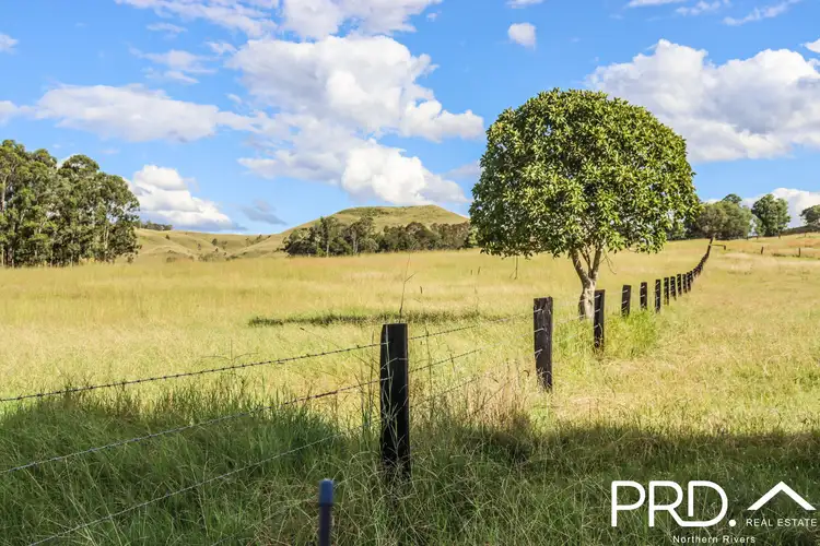 Seventh view of Homely rural property listing, 95&96 Ainsworth Road, Leeville NSW 2470