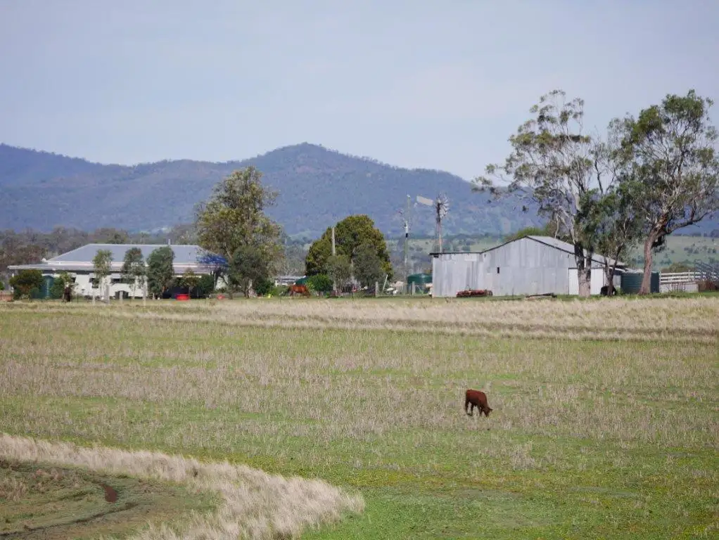 Main view of Homely rural property listing, 320 ACRES GRAZING & CROPPING, Bell QLD 4408