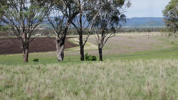 Second view of Homely rural property listing, 320 ACRES GRAZING & CROPPING, Bell QLD 4408