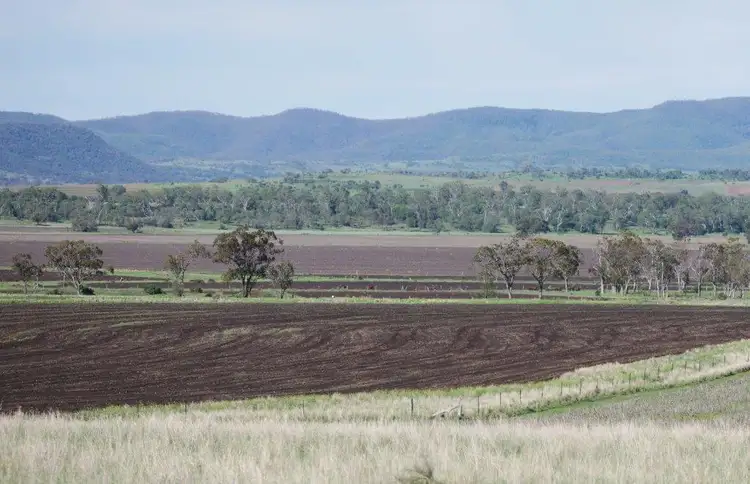 Fourth view of Homely rural property listing, 320 ACRES GRAZING & CROPPING, Bell QLD 4408