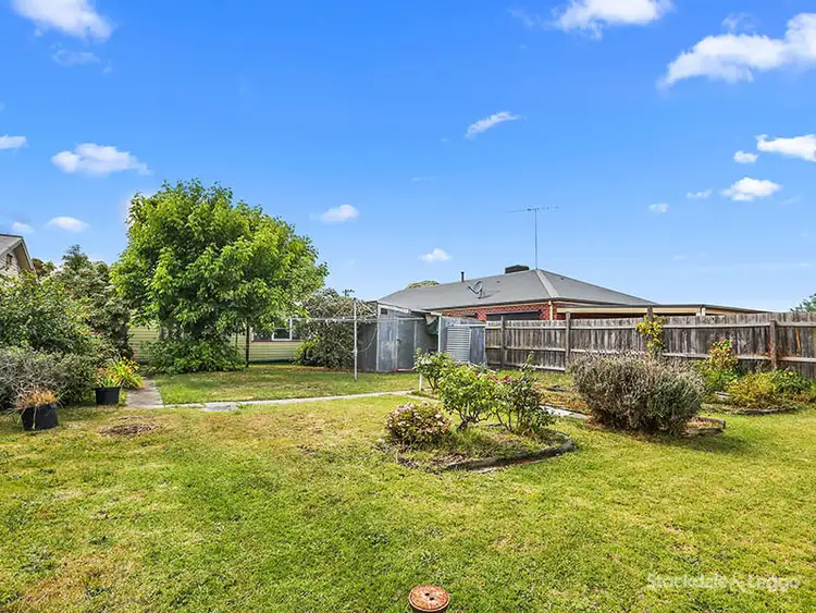Fourth view of Homely house listing, 14 Cambridge Street, Belmont VIC 3216