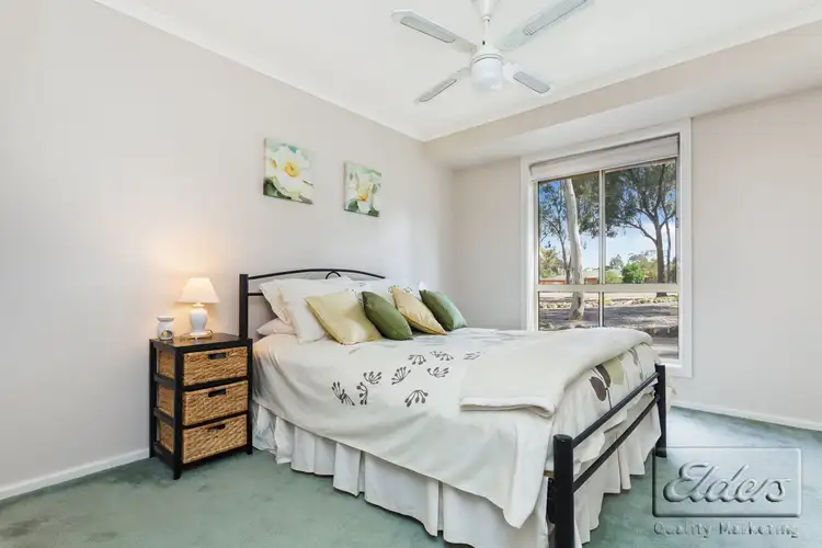 Seventh view of Homely house listing, 49 RENNIE STREET, Huntly VIC 3551