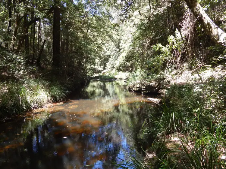 Third view of Homely rural property listing, Lot 80 Duck Creek Road, Old Bonalbo NSW 2469