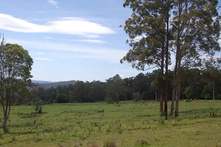 Fifth view of Homely rural property listing, Lot 80 Duck Creek Road, Old Bonalbo NSW 2469
